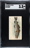 1910 T58 Fish Series Codfish Sweet Caporal SGC 3.5 front of card
