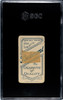 1910 T206 Joe Lake New York Piedmont 350 SGC Authentic back of card