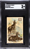 1915 Church & Dwight Company Chamois #29 Interesting Animals SGC 3 front of card