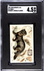 1898 John Dwight & Co. Sable #19 Interesting Animals (Large) SGC 4.5 front of card