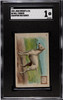 1902 John Dwight & Co. Bull Terrier #8 Champion Dog Series SGC 1 front of card