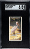 1924 John Player & Sons White Pelican #36 Natural History SGC 6.5 front of card