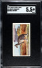 1924 John Player & Sons Great Kangaroo #24 Natural History SGC 5.5 front of card