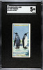 1924 John Player & Sons King-Penguins #37 Natural History SGC 5 front of card