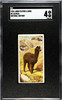 1924 John Player & Sons Alpaca #2 Natural History SGC 4 front of card