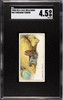 1920 W.D. & H.O. Wills Yorkshire Terrier #48 Dogs SGC 4.5 front of card