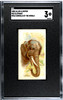 1888 N25 Allen & Ginter Elephant Wild Animals of the World SGC 3 front of card