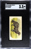 1922 Millbank  Animals Retriever 3971 On Back #20 SGC 3.5 front of card