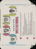 1977 Burger Chef Triple Play FunMeal Promo Box Gary Carter+ back of card