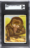 1909 Hassan Cigarettes Baboon Animals SGC 3 front of card