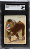 1909 Hassan Cigarettes Mandrill Animals SGC 3 front of card