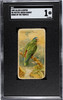 1889 Allen & Ginter Fiery Tailed Sunbird Birds Of The Tropics SGC 1 front of card