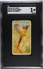 1889 Allen & Ginter Festive Green Parrot Birds Of The Tropics SGC 1 front of card
