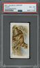 1890 Allen & Ginter Tiger N21 Quadrupeds PSA 4 front of card