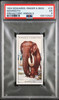 1924 Edwards, Ringer & Bigg Mammoth #12 Prehistoric Animals PSA 5 front of card