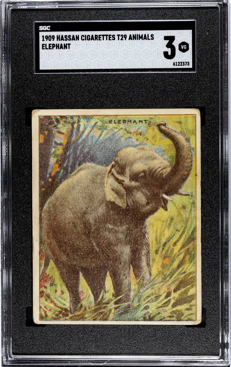 cigarette elephant 1909 Hassan Cigarettes Elephant Animals SGC 3