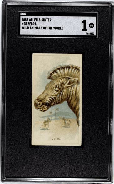 1888 Allen & Ginter Zebra N25 Wild Animals Of The World SGC 1 front of card