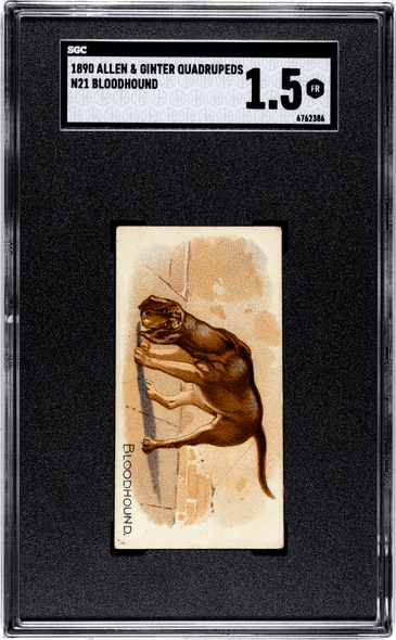 1890 Allen & Ginter Bloodhound N21 Quadrupeds SGC 1.5 front of card