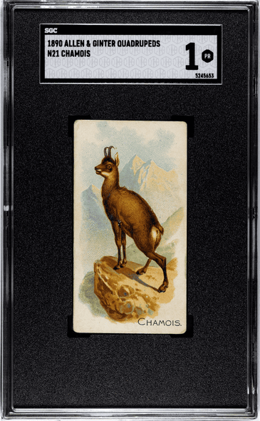 1890 Allen & Ginter Chamois N21 Quadrupeds SGC 1 — certification 5245653, front of card