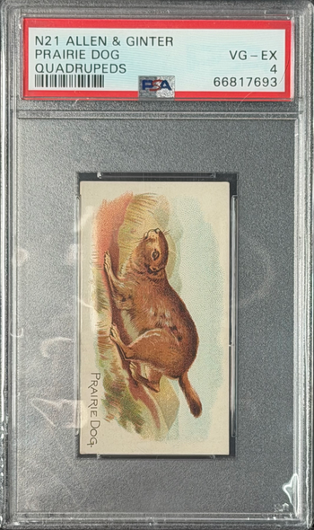 1890 Allen & Ginter Prairie Dog N21 Quadrupeds PSA 4 — certification 66817693, front of card