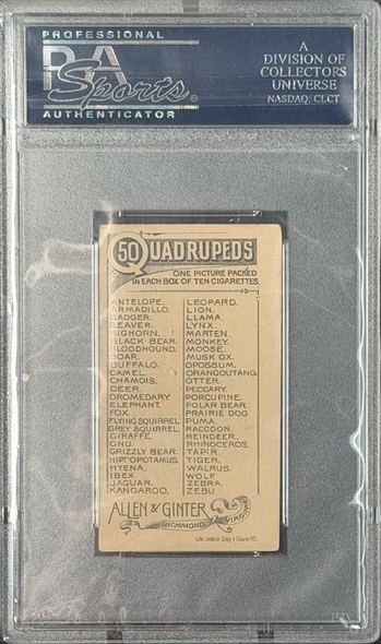 1890 Allen & Ginter Peccary N21 Quadrupeds PSA 4 back of card