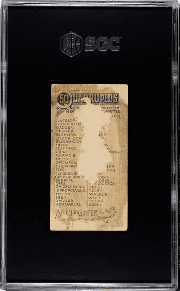 1890 Allen & Ginter Porcupine N21 Quadrupeds SGC 1 back of card