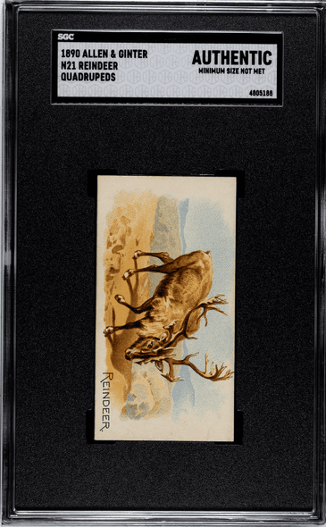 1890 Allen & Ginter Reindeer N21 Quadrupeds SGC Authentic front of card