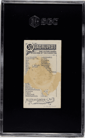 1890 Allen & Ginter Grizzly Bear N21 Quadrupeds SGC 1 back of card