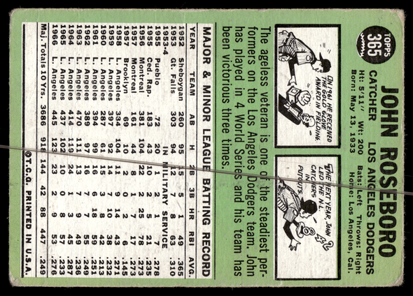 Back of the exact raw card, pair 0497; uncropped full edges.