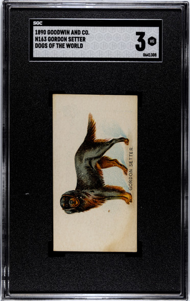 1890 N163 Goodwin & Co. Old Judge Gordon Setter SGC 3 front of card