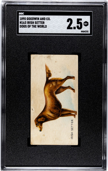 1890 N163 Goodwin & Co. Old Judge Irish Setter SGC 2.5 front of card