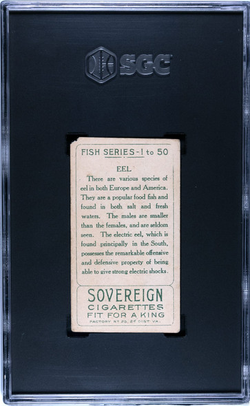 1910 T58 Sovereign Eel Fish Series SGC 1.5 Back of card