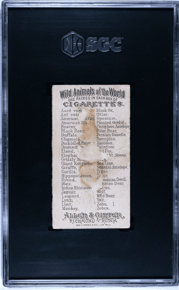 1888 N25 Allen & Ginter Ibex Wild Animals of the World SGC 1 back of card