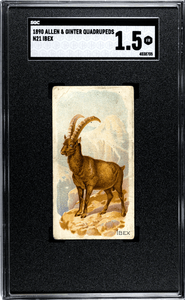 1890 N21 Allen & Ginter Ibex 50 Quadrupeds SGC 1.5 front of card