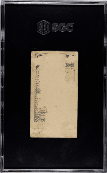 1890 N21 Allen & Ginter Elephant 50 Quadrupeds SGC A back of card