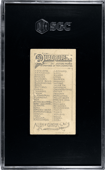 1890 N21 Allen & Ginter Zebu 50 Quadrupeds SGC 2 back of card