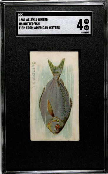 1889 N8 Allen & Ginter Butterfish 50 Fish From American Waters SGC 4 front of card