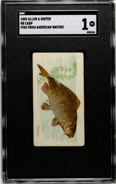 1889 N8 Allen & Ginter Carp 50 Fish From American Waters SGC 1 front of card