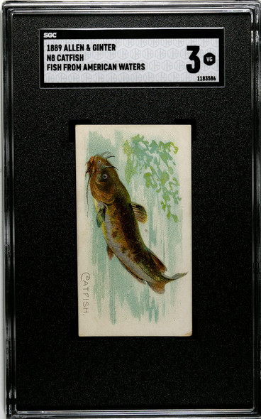 1889 N8 Allen & Ginter Catfish 50 Fish From American Waters SGC 3 front of card