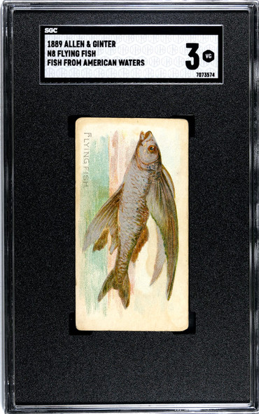 1889 N8 Allen & Ginter Flying Fish 50 Fish From American Waters SGC 3 front of card