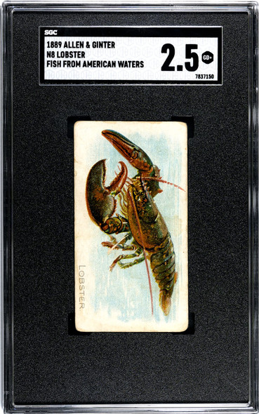 1889 N8 Allen & Ginter Lobster 50 Fish From American Waters SGC 2.5 front of card