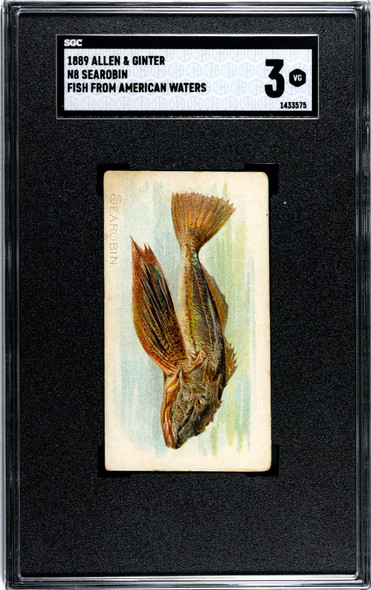 1889 N8 Allen & Ginter Searobin 50 Fish From American Waters SGC 3 front of card