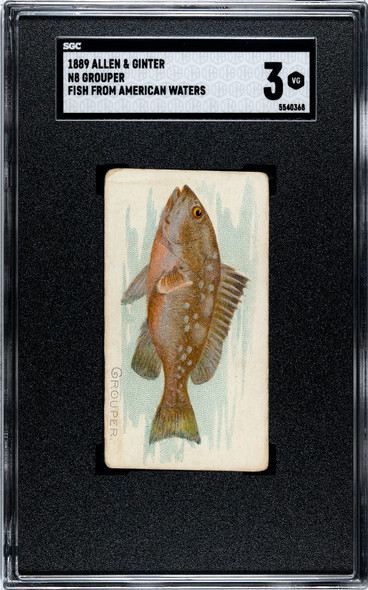1889 N8 Allen & Ginter Grouper 50 Fish From American Waters SGC 3 front of card