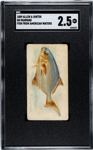 1889 N8 Allen & Ginter Pampano 50 Fish From American Waters SGC 2.5 front of card