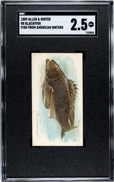 1889 N8 Allen & Ginter Blackfish 50 Fish From American Waters SGC 2.5 front of card