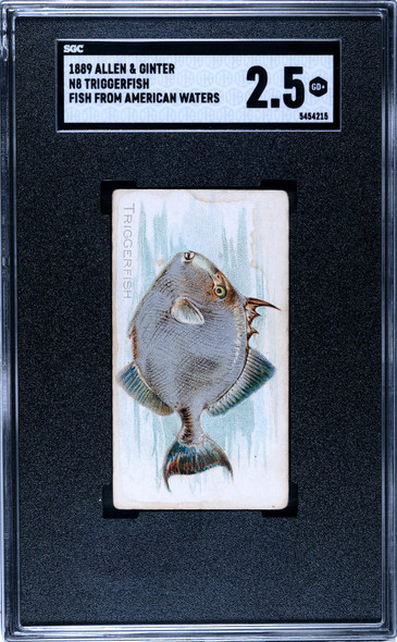 1889 N8 Allen & Ginter Triggerfish 50 Fish From American Waters SGC 2.5 front of card