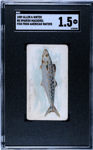 1889 N8 Allen & Ginter Spanish Mackerel 50 Fish From American Waters SGC 1.5 front of card