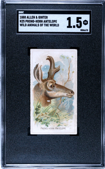 Shop All - Page 82 - T206 Cards