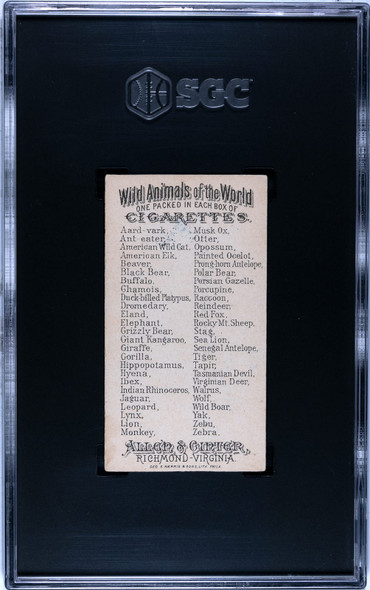 1888 N25 Allen & Ginter Yak Wild Animals of the World SGC 4.5 back of card