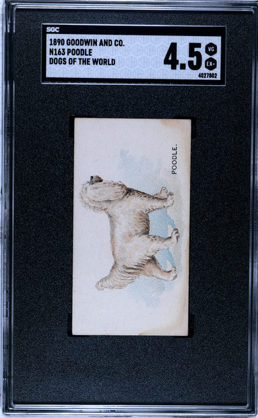 1890 N163 Goodwin & Co. Old Judge Poodle Dogs of the World SGC 4.5 front of card